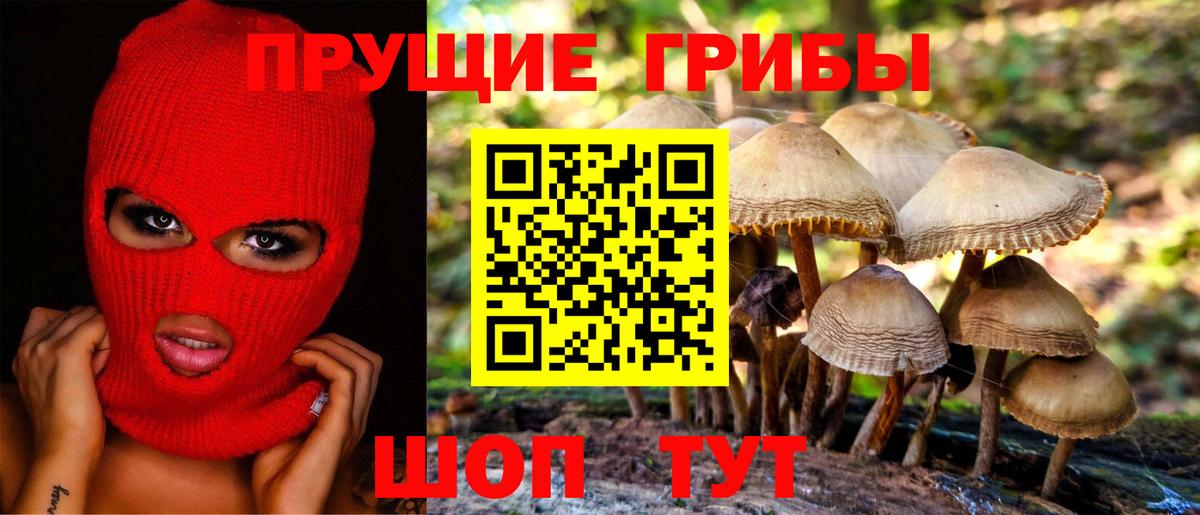 Советский  Псилоцибиновые грибы прущие грибы  Вход с VPN 